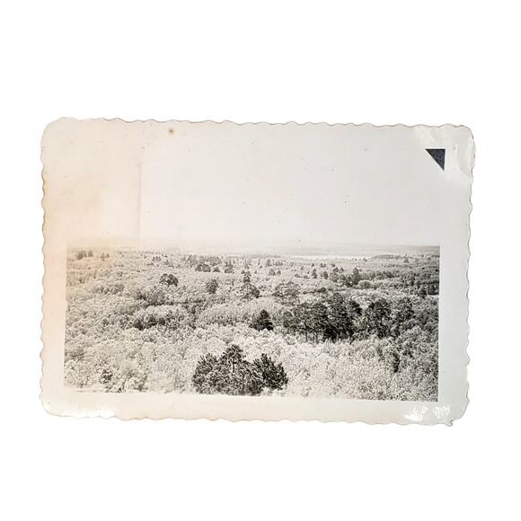 Vtg Itasca State Park Original Monochrome Photo 1946 Found Snapshot Landscape - Picture 1 of 4